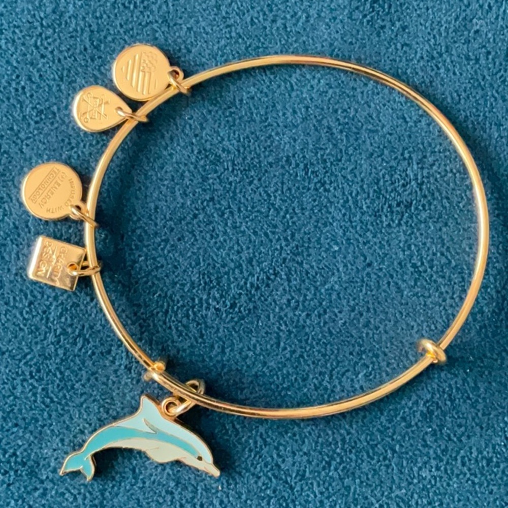 Alex and Ani Dolphin Bracelet